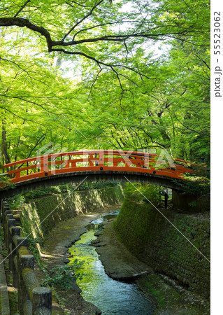 北野天満宮、御土居の新緑、紙屋川と鶯橋 55523062