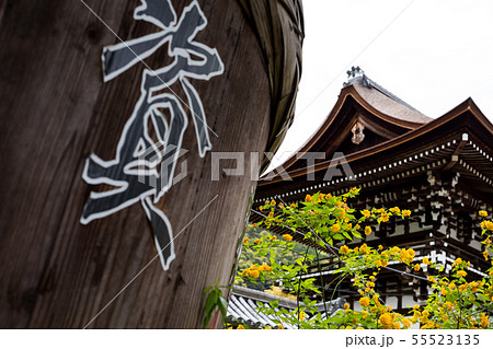 松尾大社、楼門とヤマブキ 55523135