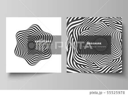 The minimal vector layout of two square format covers design templates for brochure, flyer, magazine 55525978