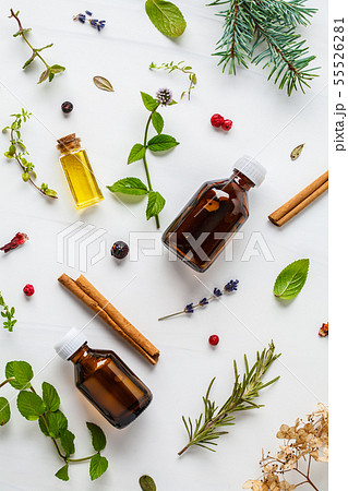 Ingredients for essential oil. Different herbs Ingredients for essential oil. Different herbs 55526281