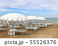Empty beach with white sunshades, Italy, Riccione 55526376