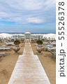 Empty beach with white sunshades, Italy, Riccione 55526378