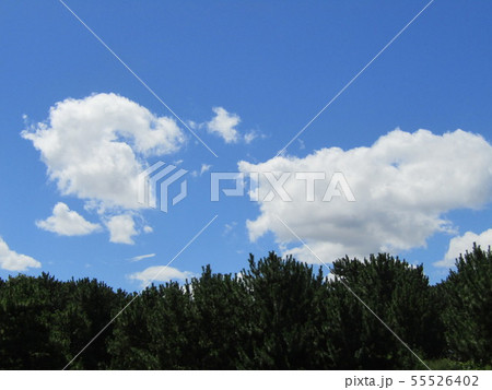 梅雨明けの青い空と白い雲 梅雨明けの青い空と白い雲 55526402