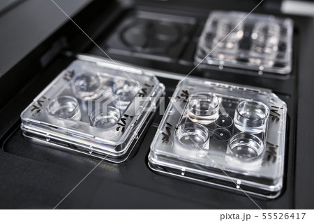 Equipment for in vitro fertilization in laboratory 55526417