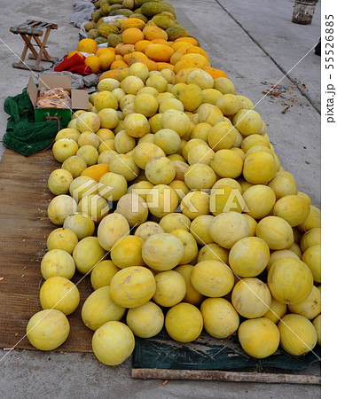 シルクロードの果物　中国甘粛省瓜州のメロン 55526885