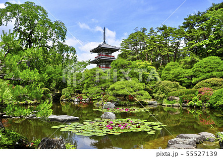 曹洞宗金剛宝山輪王寺の日本庭園と三重塔 55527139