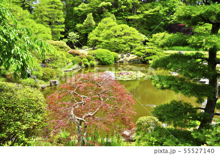 曹洞宗金剛宝山輪王寺の日本庭園 55527140