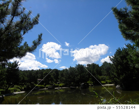 梅雨明けの青空と白い雲 55528144