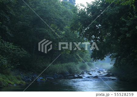 岩手県　夏の渓流 55528259
