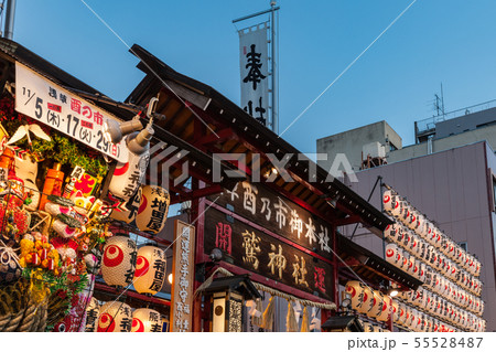 酉の市　鷲神社 55528487