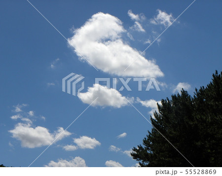 梅雨明けの青空と白い雲 55528869