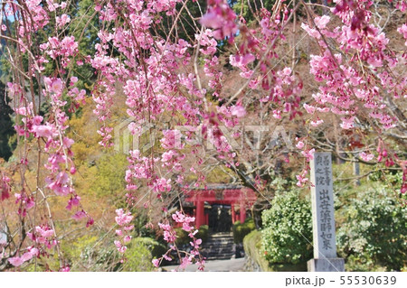 善峯寺 善峯寺 55530639