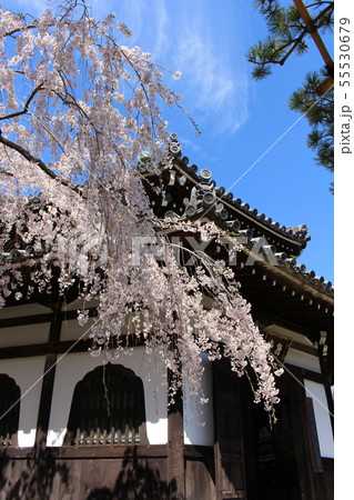 善峯寺 善峯寺 55530679