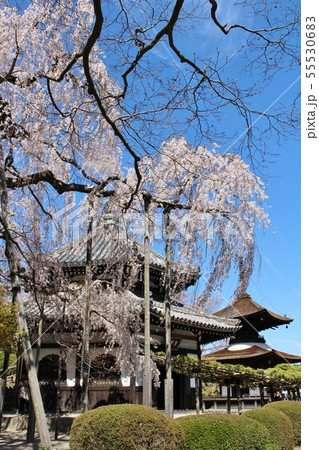 善峯寺 善峯寺 55530683