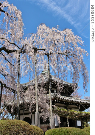 善峯寺 善峯寺 55530684