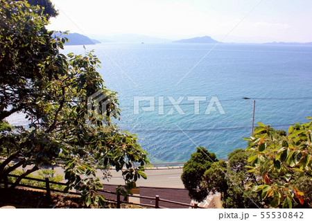 金印公園（志賀島）「漢委奴国王」 55530842