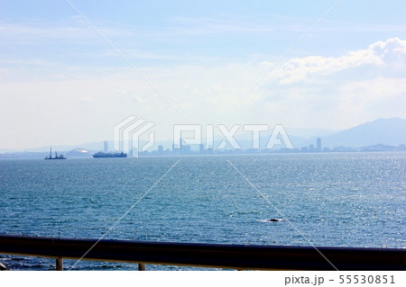 海と福岡市中心部 55530851