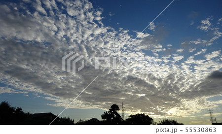 朝日と鱗雲 55530863