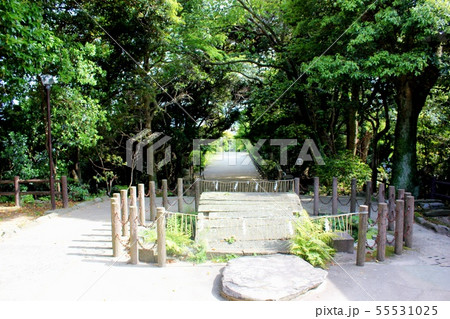 志賀海神社(志賀島) 志賀海神社(志賀島) 55531025