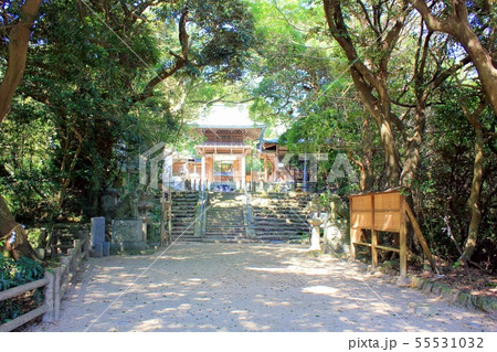 志賀海神社(志賀島) 志賀海神社(志賀島) 55531032