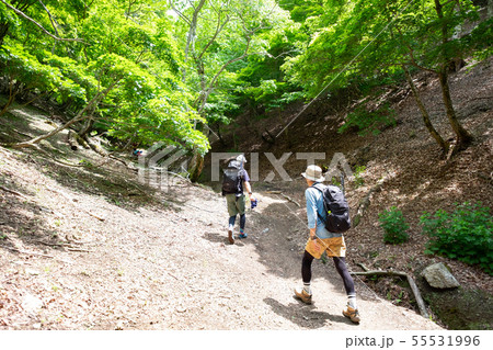 登山をする男性の後姿 登山をする男性の後姿 55531996