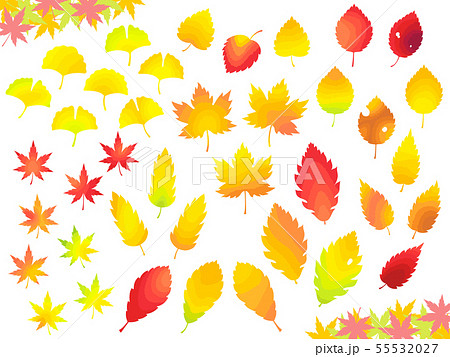 秋 紅葉した色々な葉っぱのイラストセット 階層グラデーション のイラスト素材