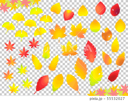 秋 紅葉した色々な葉っぱのイラストセット 階層グラデーション のイラスト素材