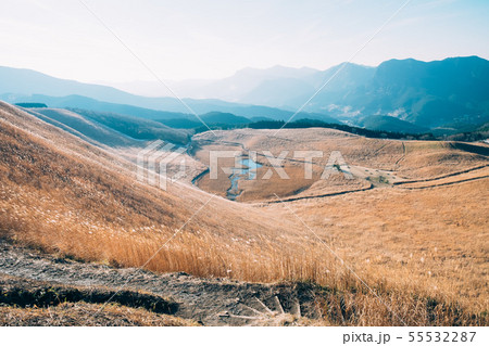 曽爾高原 曽爾高原 55532287