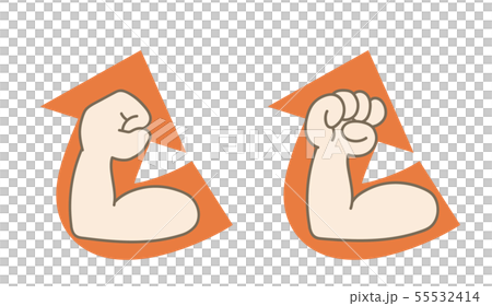 ガッツポーズ・上向き矢印付き 55532414