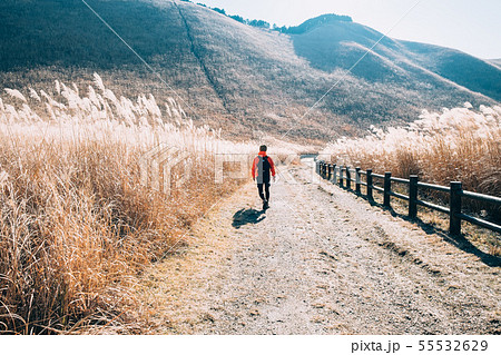 曽爾高原を散策する男性　 55532629