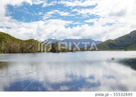 ニューカレドニア ヤテ湖 ニューカレドニア ヤテ湖 55532695