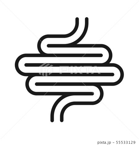 Human digestion tract 55533129