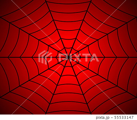 Spider web illustration 55533147