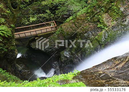 蜻蛉の滝　展望台（奈良県吉野郡） 55533176