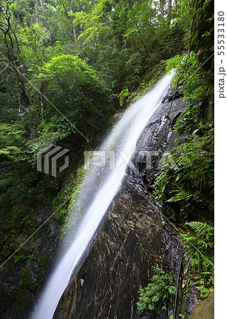 蜻蛉の滝（奈良県吉野郡） 55533180