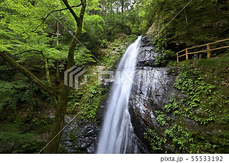 蜻蛉の滝(奈良県吉野郡) 蜻蛉の滝(奈良県吉野郡) 55533192