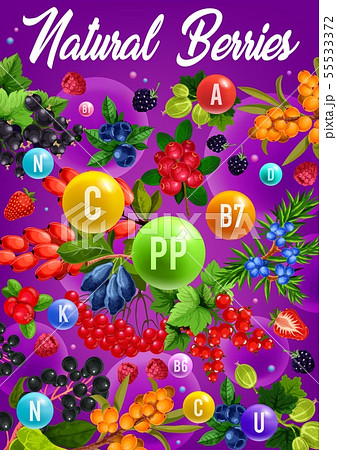 Berry vitamins in strawberry, blackberry, cherry Berry vitamins in strawberry, blackberry, cherry 55533372