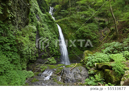 大天井滝(奈良県吉野郡) 大天井滝(奈良県吉野郡) 55533677