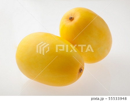 マクワウリ 55533948