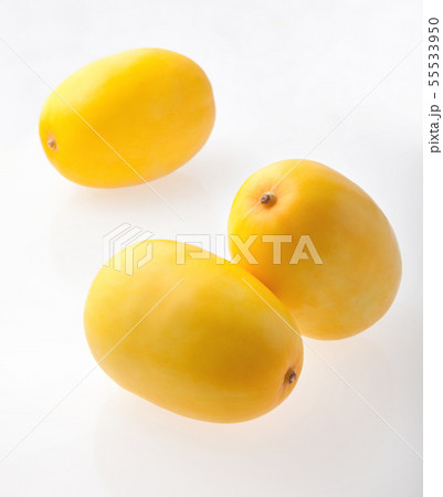 マクワウリ マクワウリ 55533950