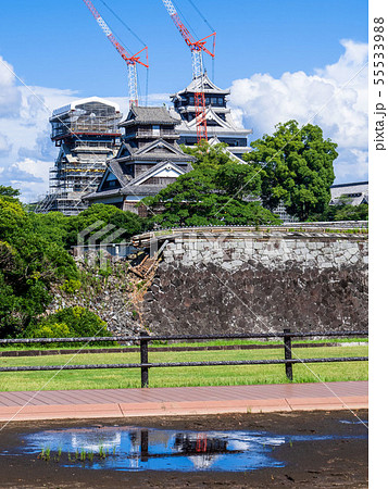 二の丸より望む熊本城天守閣 二の丸より望む熊本城天守閣 55533988