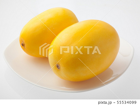 マクワウリ マクワウリ 55534099