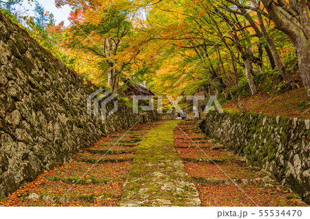 秋の滋賀 湖東三山 百済寺 表参道 秋の滋賀 湖東三山 百済寺 表参道 55534470