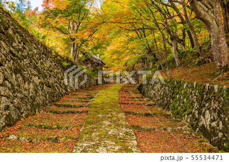 秋の滋賀　湖東三山　百済寺　表参道 55534471