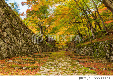 秋の滋賀　湖東三山　百済寺　表参道 55534473