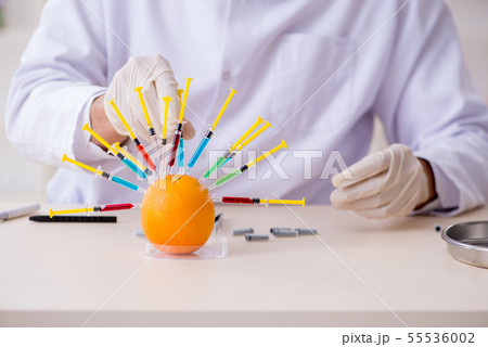 Male nutrition expert testing food products in lab Male nutrition expert testing food products in lab 55536002