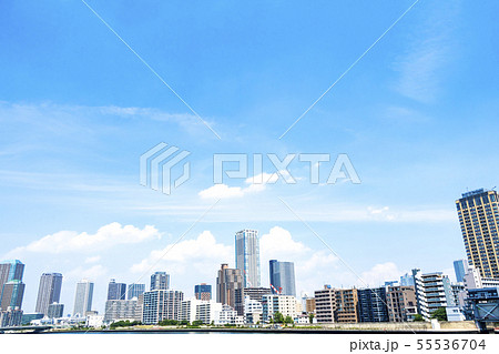 高層ビルとタワーマンションの並ぶ都市風景 高層ビルとタワーマンションの並ぶ都市風景 55536704