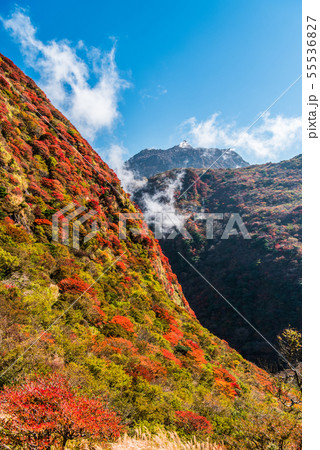 雲仙国見岳の紅葉 雲仙国見岳の紅葉 55536827