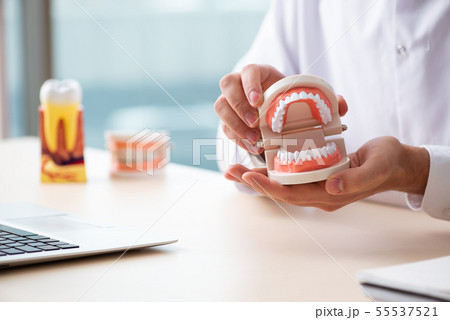 Male doctor stomatologist working in the clinic Male doctor stomatologist working in the clinic 55537521