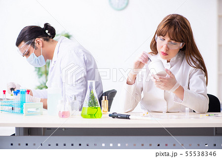 Two chemists working in the lab 55538346